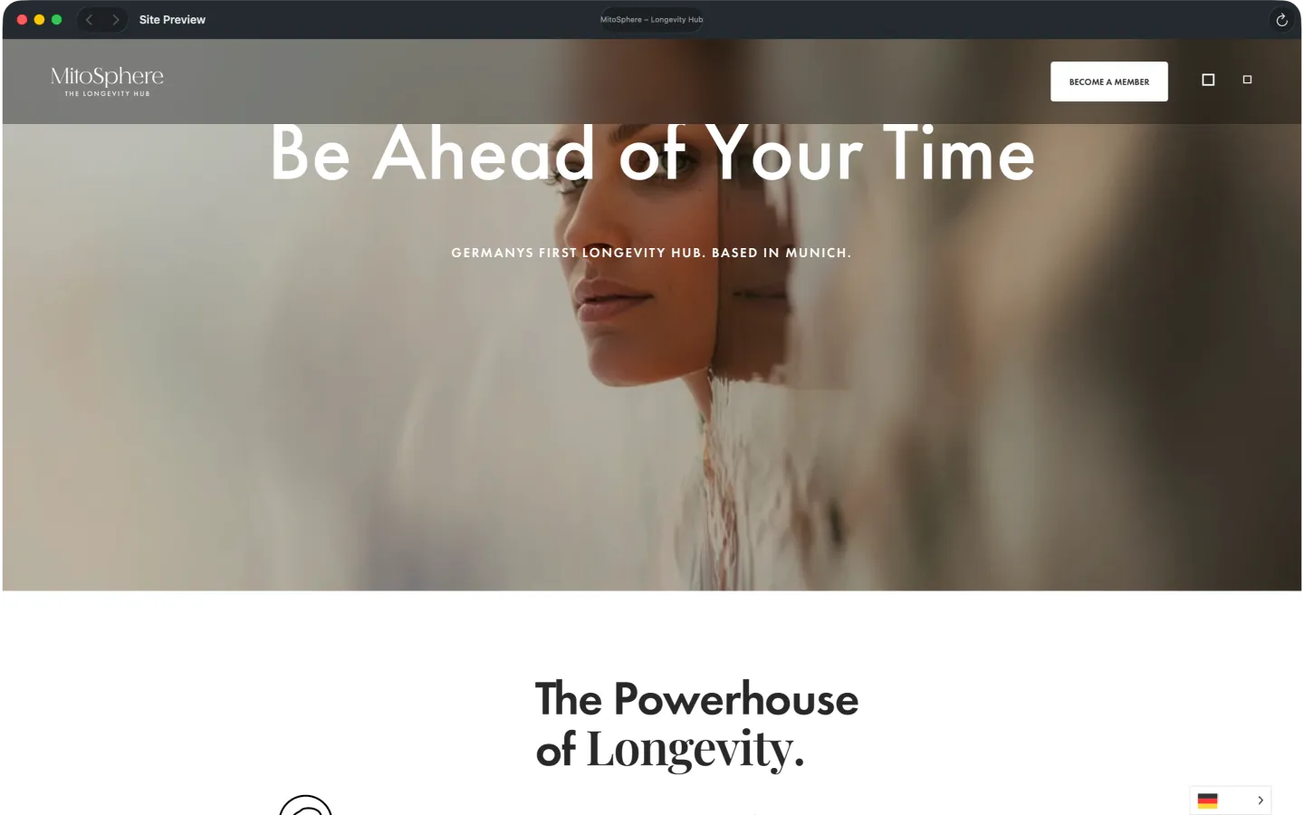WebCacheWarmer built-in site preview of a downloaded website